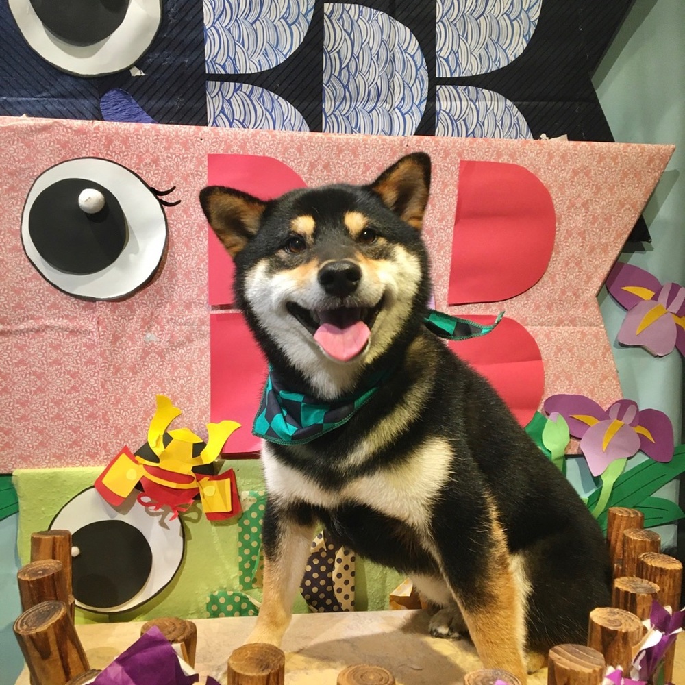 Meet your Posher, Shusaku